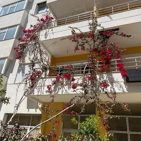 Amadea #1 * Vlorë